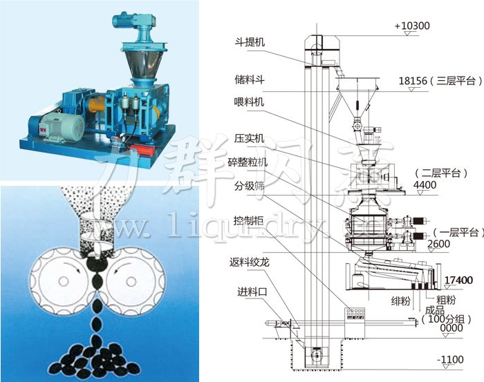 干法輥壓造粒機(jī)結(jié)構(gòu)示意圖 干法輥壓造粒機(jī)結(jié)構(gòu)示意圖